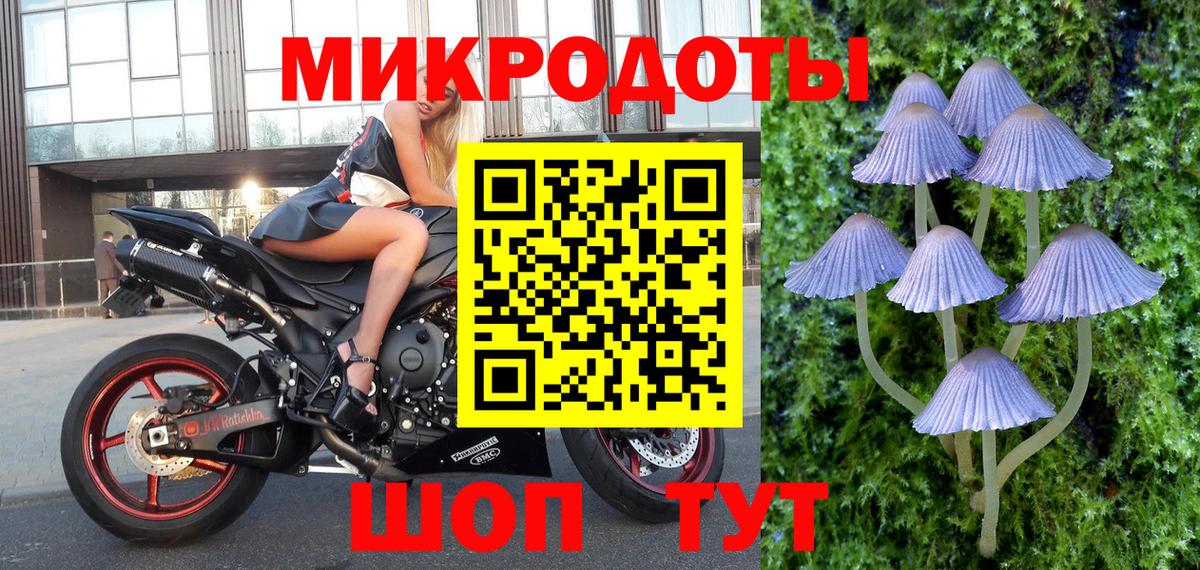 Псилоцибиновые грибы Cubensis  Вход с VPN  Йошкар-Ола  Псилоцибиновые грибы MAGIC MUSHROOMS 