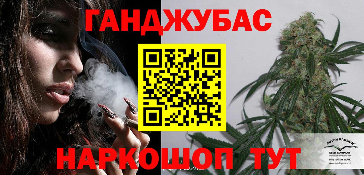 Канабис сатива Йошкар-Ола